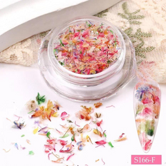 3D Dried Flower Nail Art Decorations