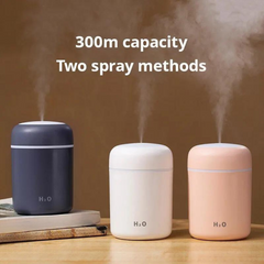 Cool Mist Humidifier