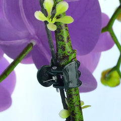 Garden Plant Clips Grafting Clips Support Clips Tied Vine Clips Flower Fruit Vegetable Butterfly Orchid Special Clips