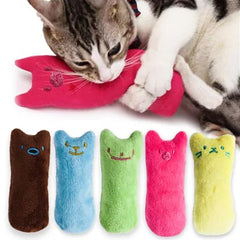 Interactive Plush Cat Toy