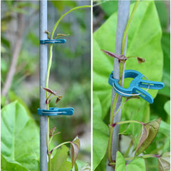 Reusable  Plant Clips