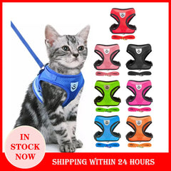 Cat Harness Vest