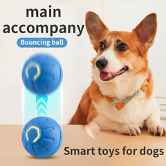 Smart Dog Ball Toy