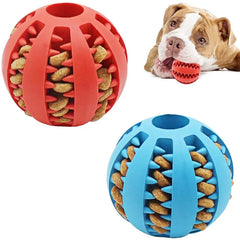 Interactive Dog Ball Feeder