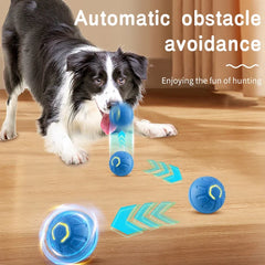 Smart Dog Ball Toy