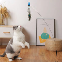 Interactive Cat Toy