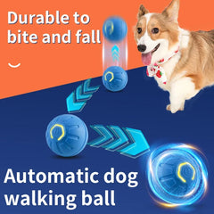 Smart Dog Ball Toy