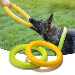 Dog Training Ring