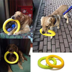 Dog Training Ring