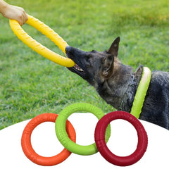 Dog Training Ring